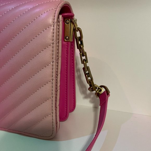 PINKO BNWT Italian Leather Pink Ombre Chevron Love Bag w Bronze Hardware + Birds - Picture 3 of 15